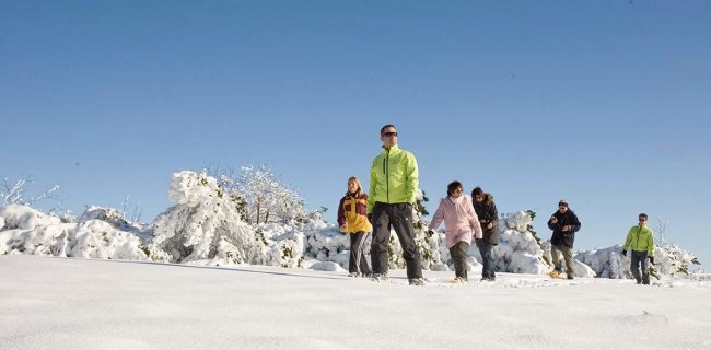 Baiersbronn - Germania