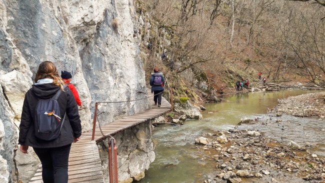 Cheile Varghisului (9) Cheile Varghisului (9)