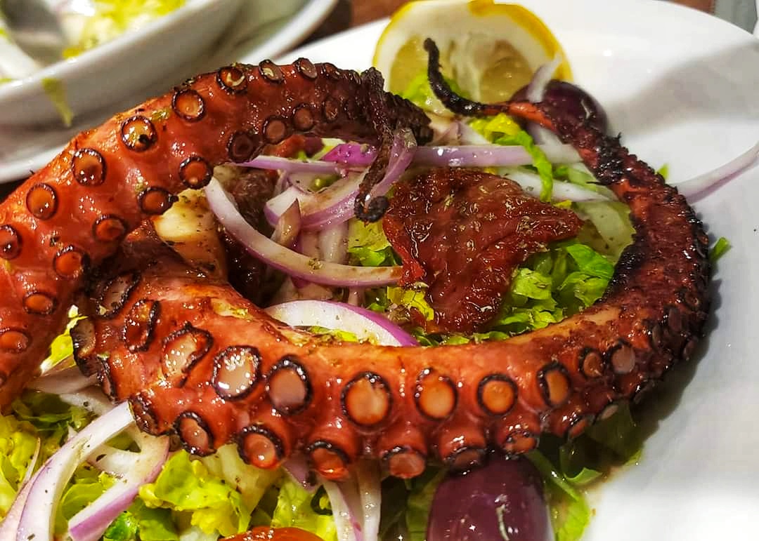 Greek octopus grilled